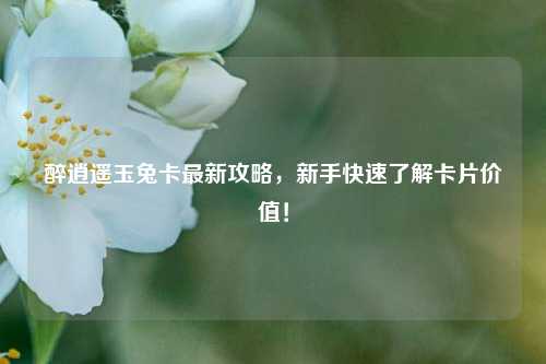 醉逍遥玉兔卡最新攻略，新手快速了解卡片价值！