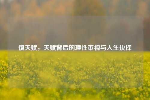 慎天赋，天赋背后的理性审视与人生抉择