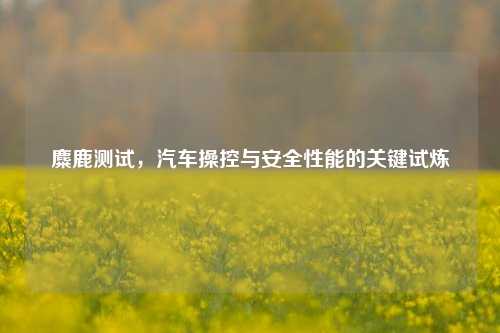 麋鹿测试，汽车操控与安全性能的关键试炼