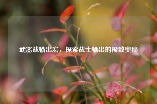 武器战输出宏，探索战士输出的极致奥秘