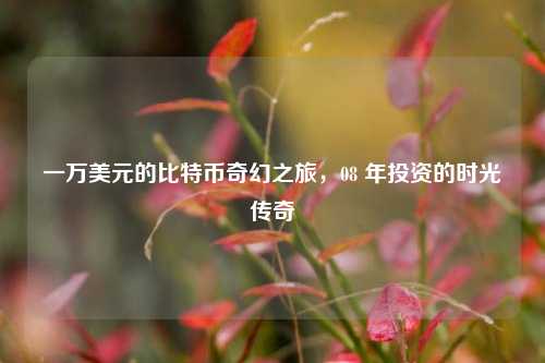 一万美元的比特币奇幻之旅，08 年投资的时光传奇