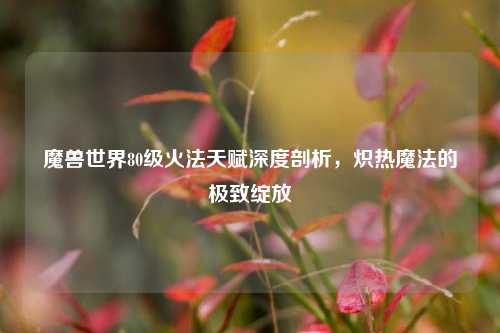 魔兽世界80级火法天赋深度剖析，炽热魔法的极致绽放