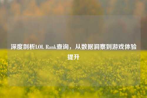 深度剖析LOL Rank查询，从数据洞察到游戏体验提升