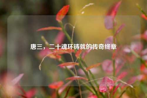 唐三，二十魂环铸就的传奇终章