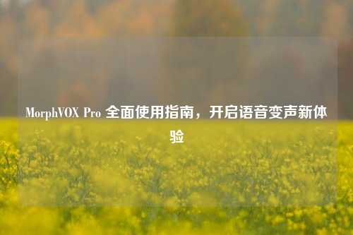 MorphVOX Pro 全面使用指南，开启语音变声新体验