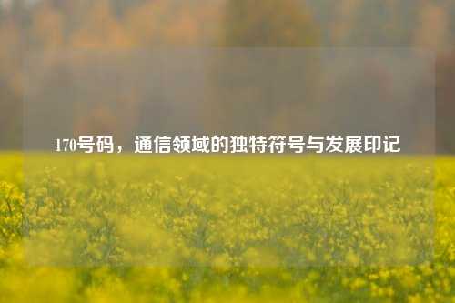 170号码，通信领域的独特符号与发展印记