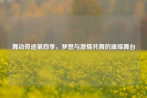 舞动奇迹第四季，梦想与激情共舞的璀璨舞台