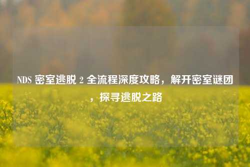 NDS 密室逃脱 2 全流程深度攻略，解开密室谜团，探寻逃脱之路