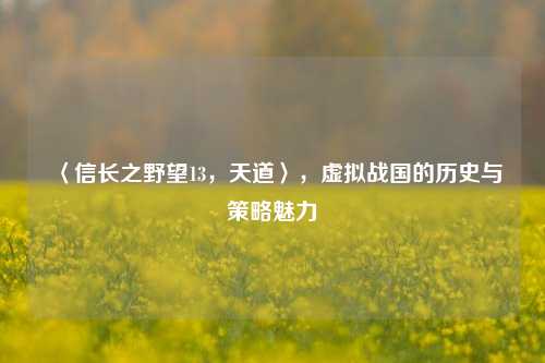 〈信长之野望13，天道〉，虚拟战国的历史与策略魅力