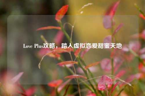 Love Plus攻略，踏入虚拟恋爱甜蜜天地
