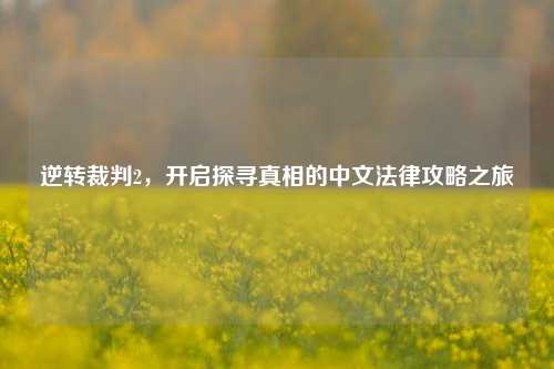 逆转裁判2，开启探寻真相的中文法律攻略之旅