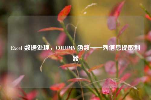 Excel 数据处理，COLUMN 函数——列信息提取利器
