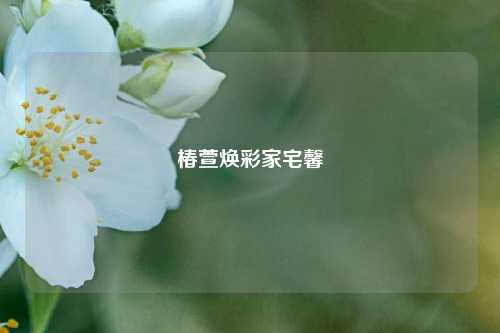 椿萱焕彩家宅馨