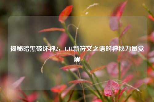 揭秘暗黑破坏神2，1.11新符文之语的神秘力量觉醒