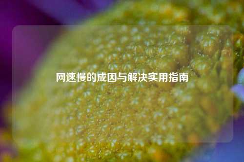 网速慢的成因与解决实用指南