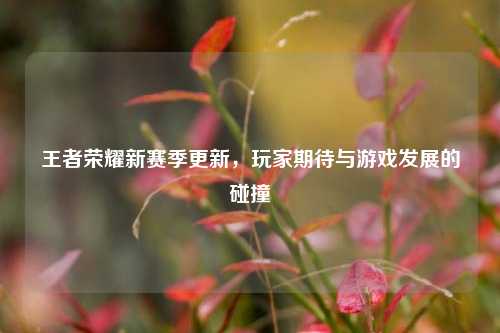 王者荣耀新赛季更新，玩家期待与游戏发展的碰撞
