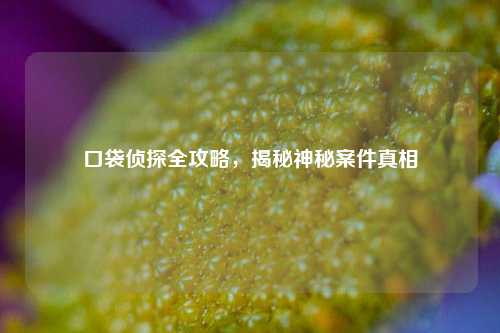 口袋侦探全攻略，揭秘神秘案件真相