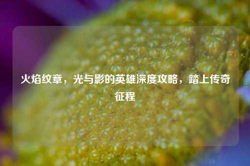 火焰纹章，光与影的英雄深度攻略，踏上传奇征程