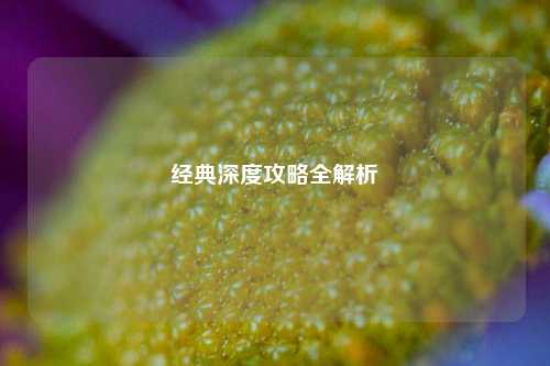 经典深度攻略全解析