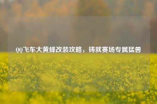 QQ飞车大黄蜂改装攻略，铸就赛场专属猛兽