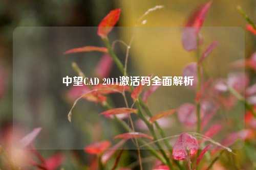 中望CAD 2011激活码全面解析