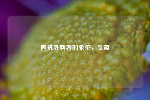 固执胜利者的象征，头盔