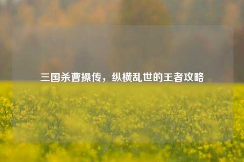 三国杀曹操传，纵横乱世的王者攻略