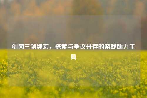 剑网三剑纯宏,探索与争议并存的游戏助力工具