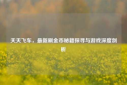 天天飞车，最新刷金币秘籍探寻与游戏深度剖析