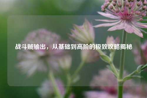 战斗贼输出，从基础到高阶的极致攻略揭秘