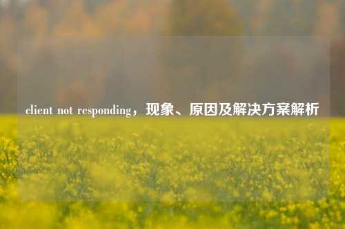 client not responding，现象、原因及解决方案解析