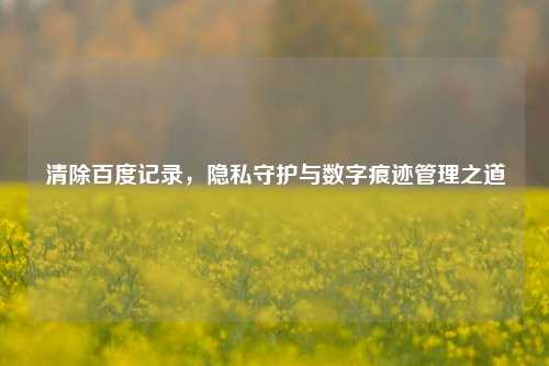 清除百度记录，隐私守护与数字痕迹管理之道