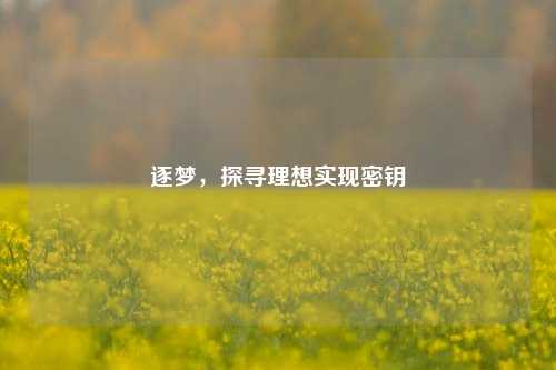 逐梦，探寻理想实现密钥