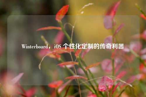 Winterboard，iOS 个性化定制的传奇利器