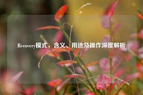 Recovery模式，含义、用途及操作深度解析