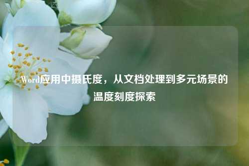 Word应用中摄氏度，从文档处理到多元场景的温度刻度探索