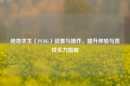 绝地求生（PUBG）设置与操作，提升体验与竞技实力指南