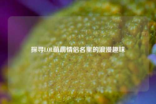探寻LOL萌萌情侣名里的浪漫趣味