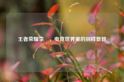 王者荣耀李喆，电竞世界里的别样景致