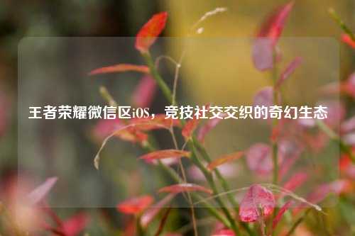 王者荣耀微信区iOS，竞技社交交织的奇幻生态