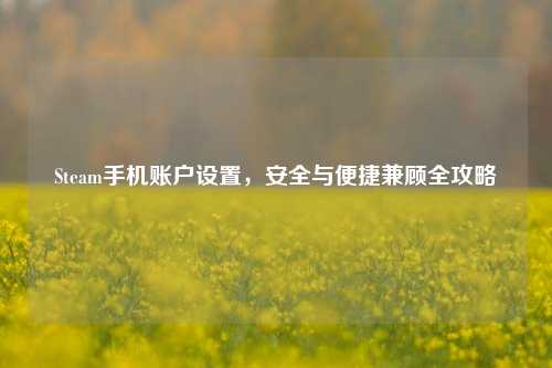 Steam手机账户设置，安全与便捷兼顾全攻略