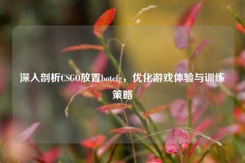 深入剖析CSGO放置botcfg，优化游戏体验与训练策略