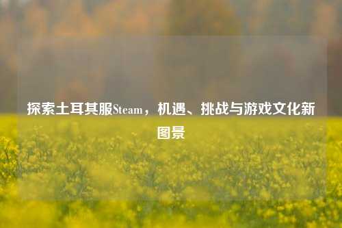 探索土耳其服Steam，机遇、挑战与游戏文化新图景