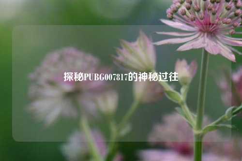 探秘PUBG007817的神秘过往
