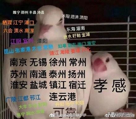 cf十三太保,十三太保实力排名顺口溜